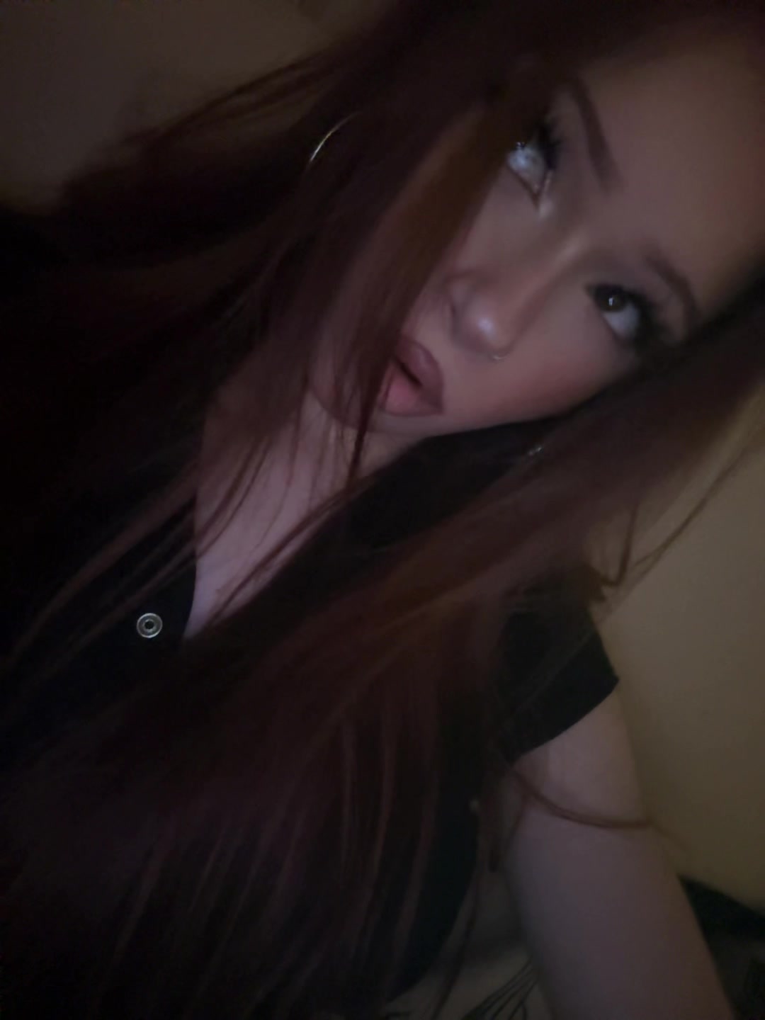 @N🦇