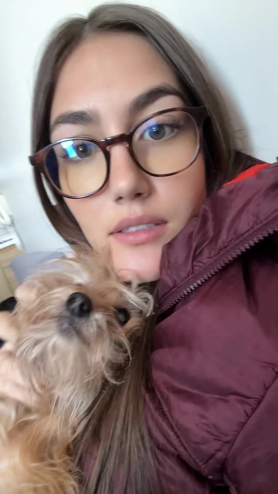 @sofiabortoleto