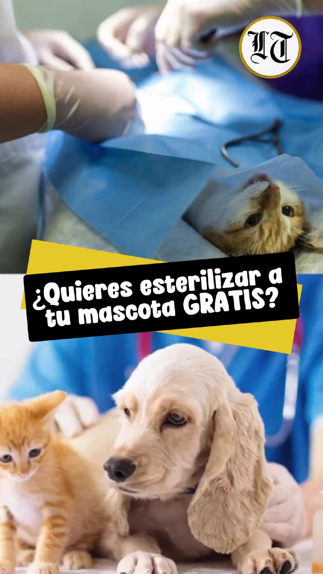 @Peri&oacute;dico Los Tiempos