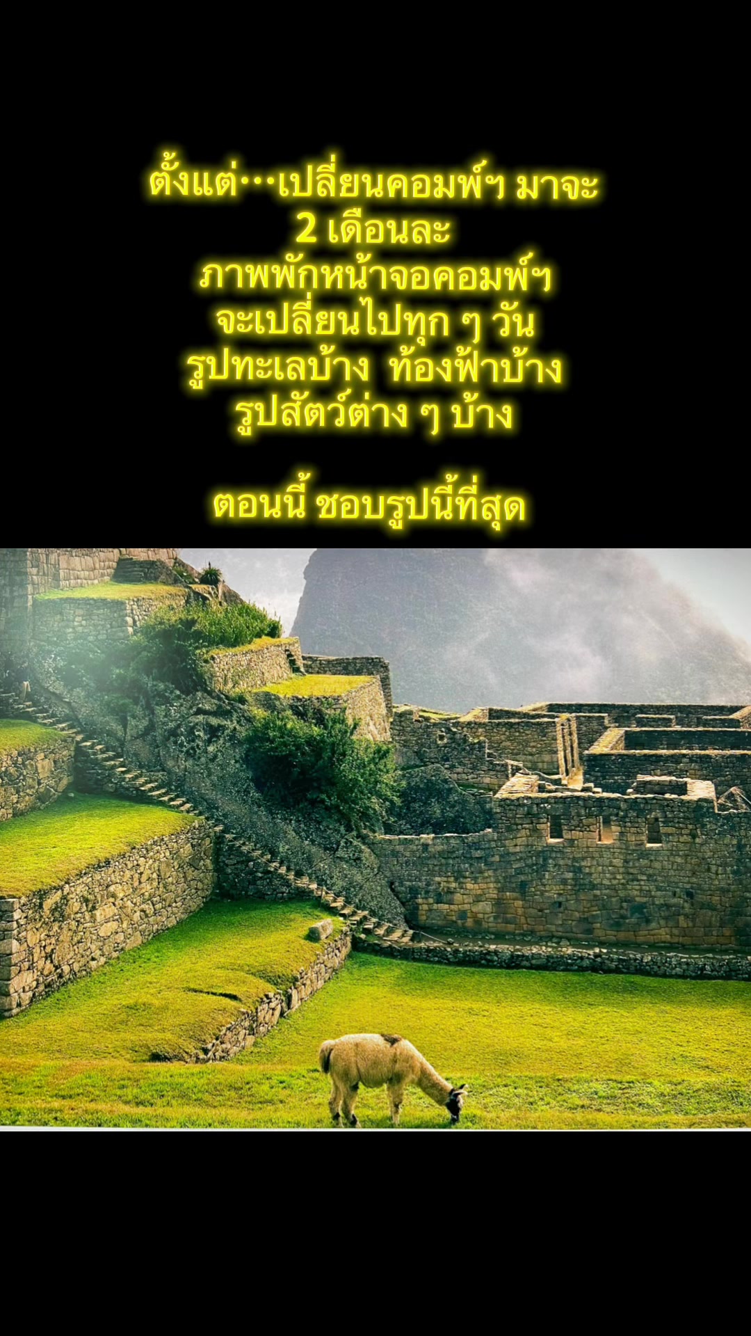 @🕯️𓆉𝓡🪺𝓢E🌦️        🐦&zwj;🔥