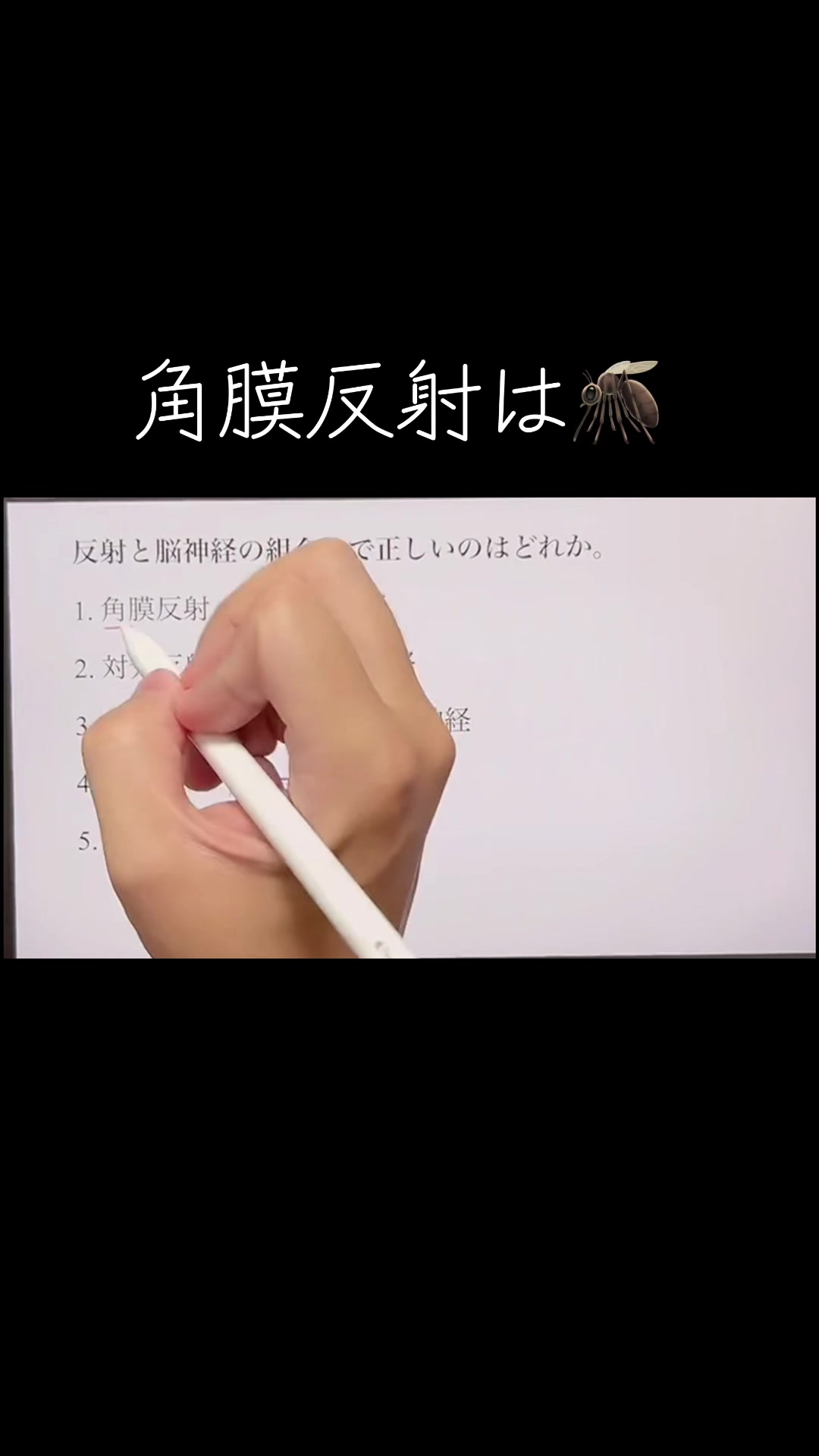 @第62回理学療法士国家試験(ネクストリハアカデミー)