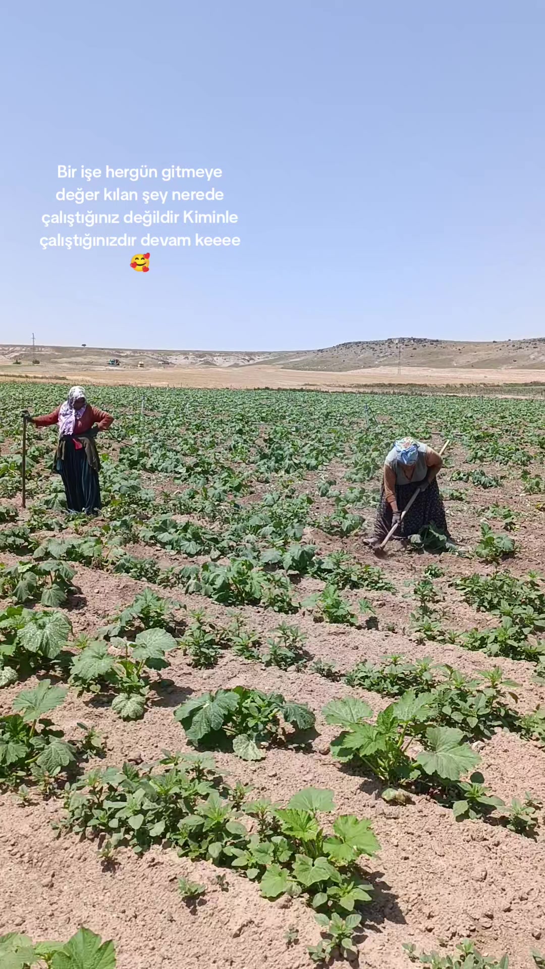 @Fadik Ferdi Yarar