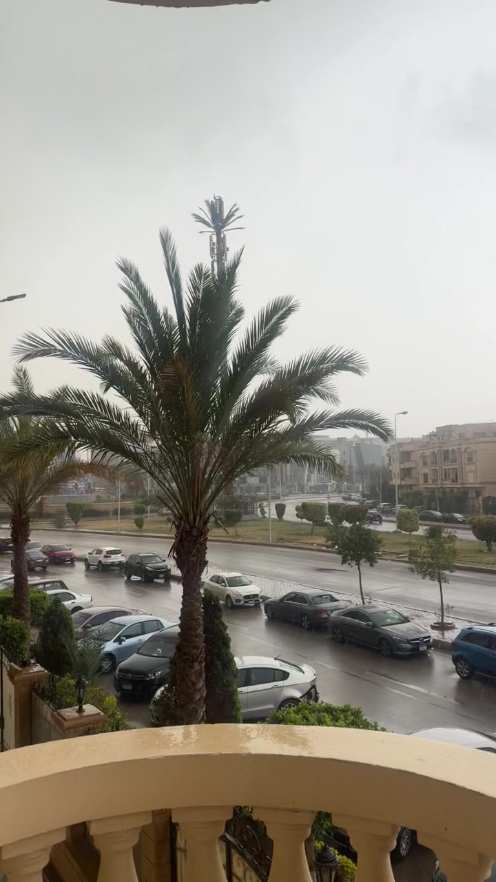 @Menna Usf