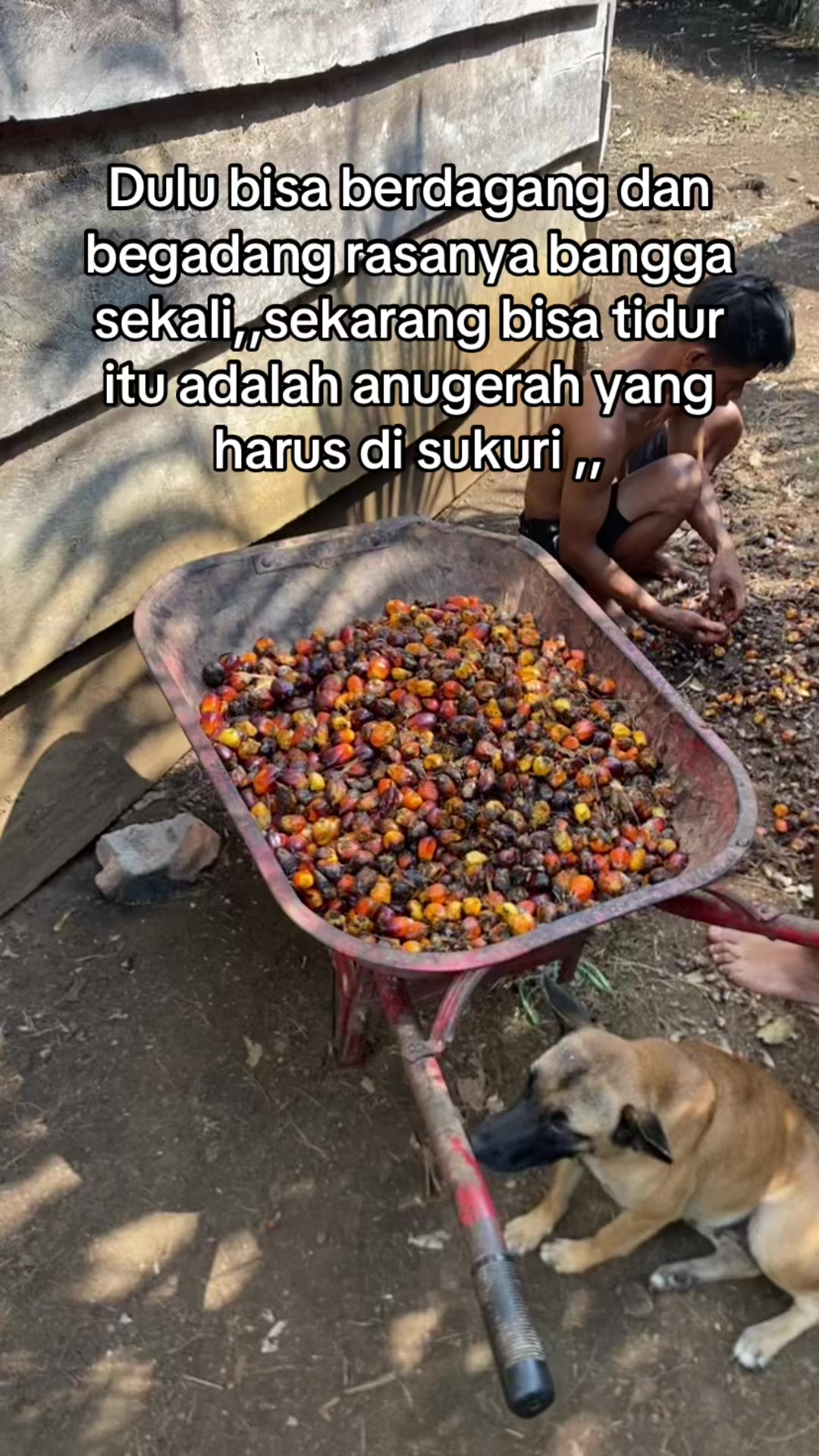 @Pajrul Pala