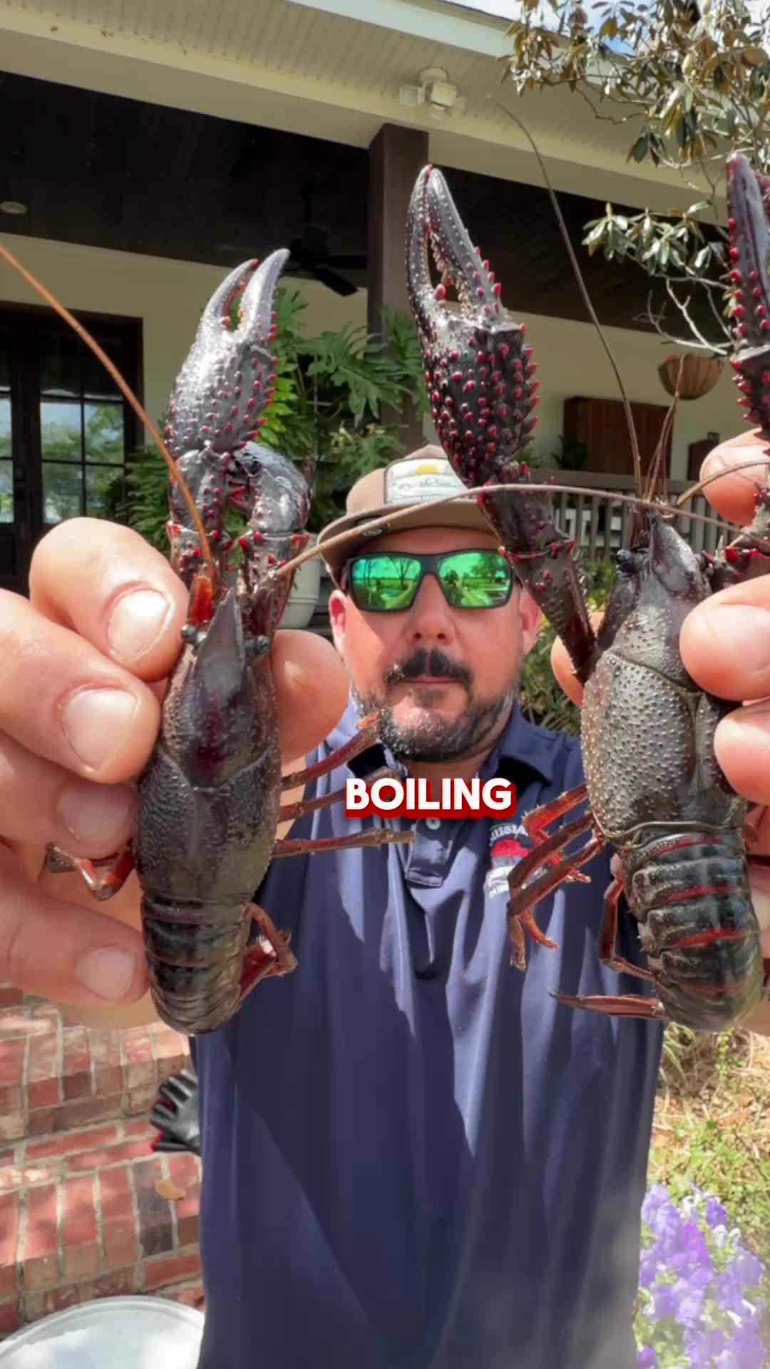 @louisianacrawfishco