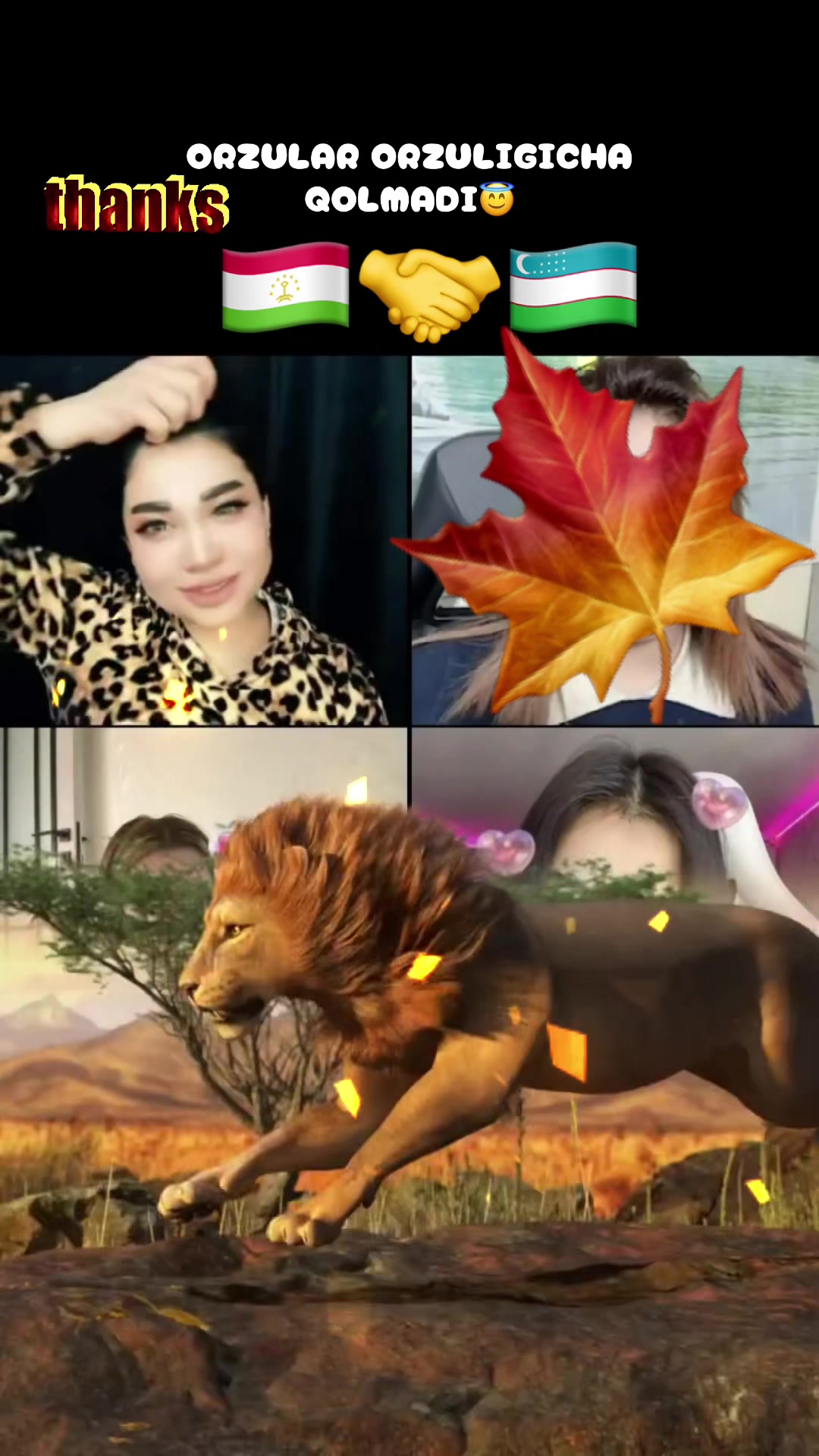 @ZANUDA