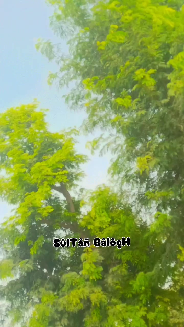 @Sultan Baloch 33