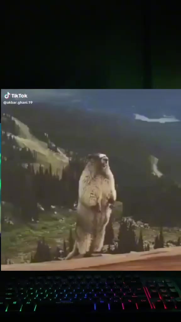 @meymoy