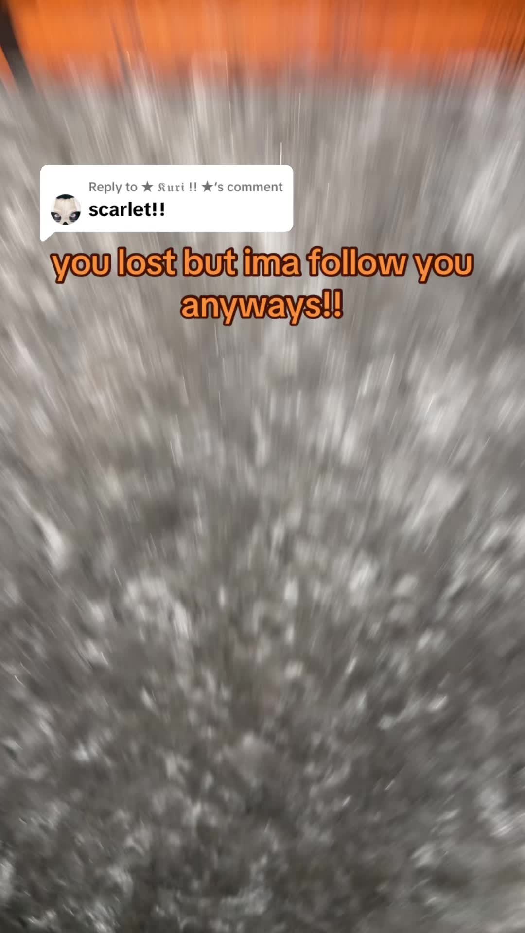 @🌪️🫧looeys #1 fan!!!🦭🐚