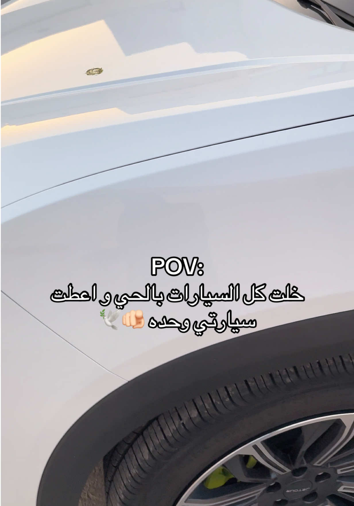 @ميشان دوت&bull;⭐️