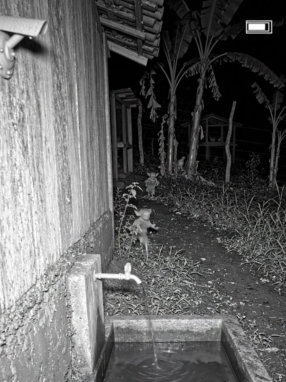 @captura improvável