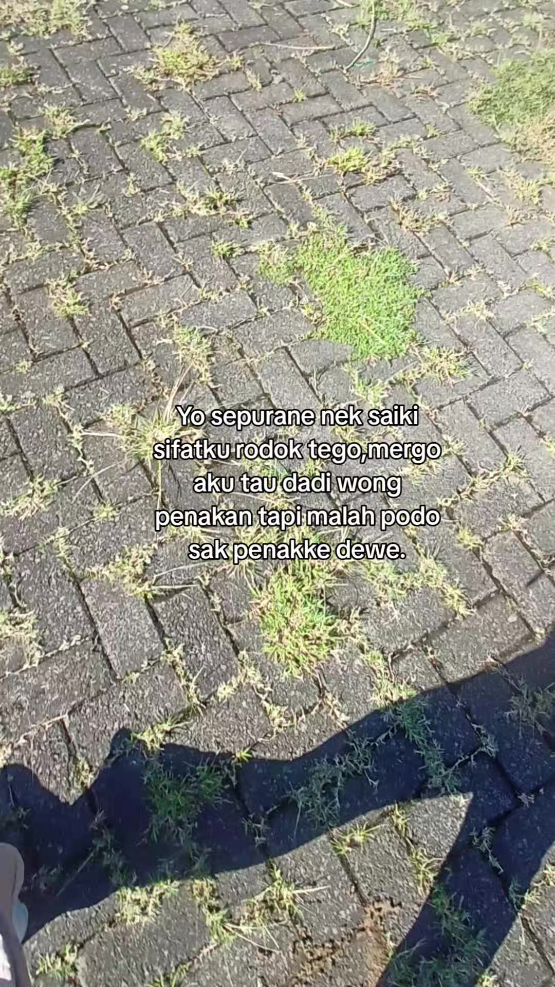 @☘︎ ᥫ᭡☻ᥫ᭡ඞ ♌ 🦟