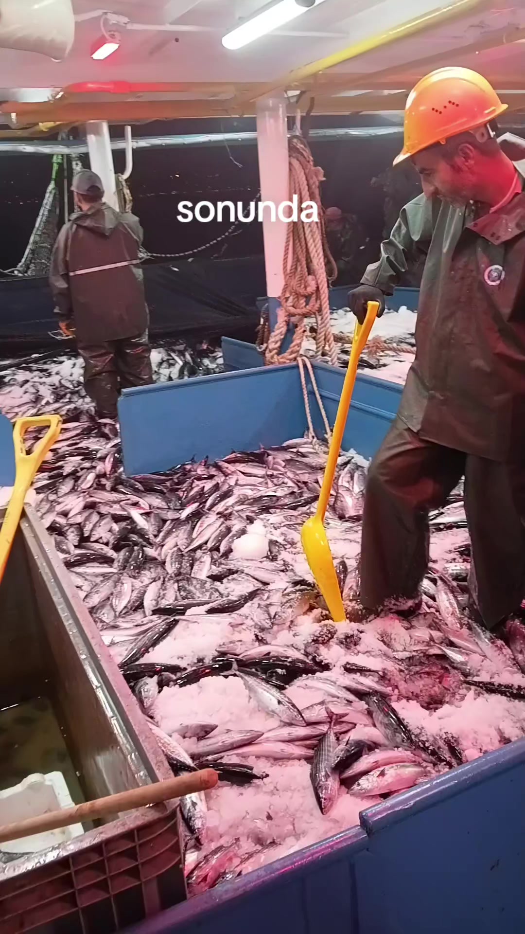 @Volkan Terzioğlu