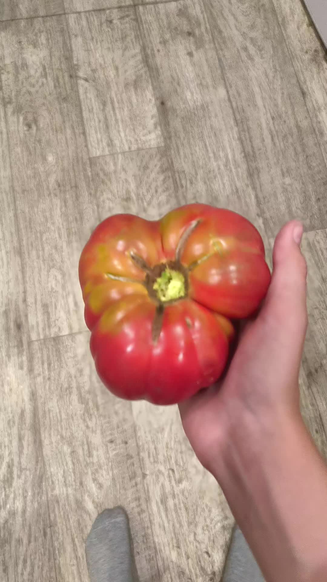 @𝐔𝐒𝐒𝐓