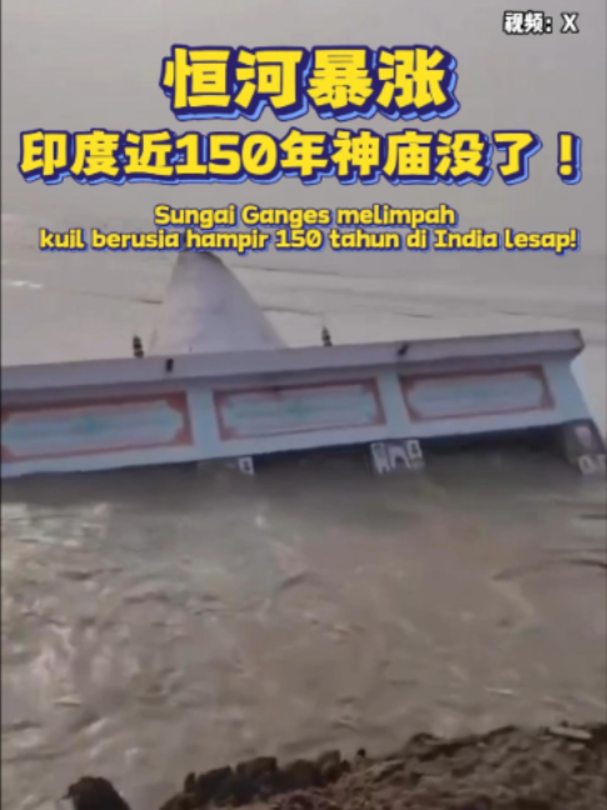 @中国报