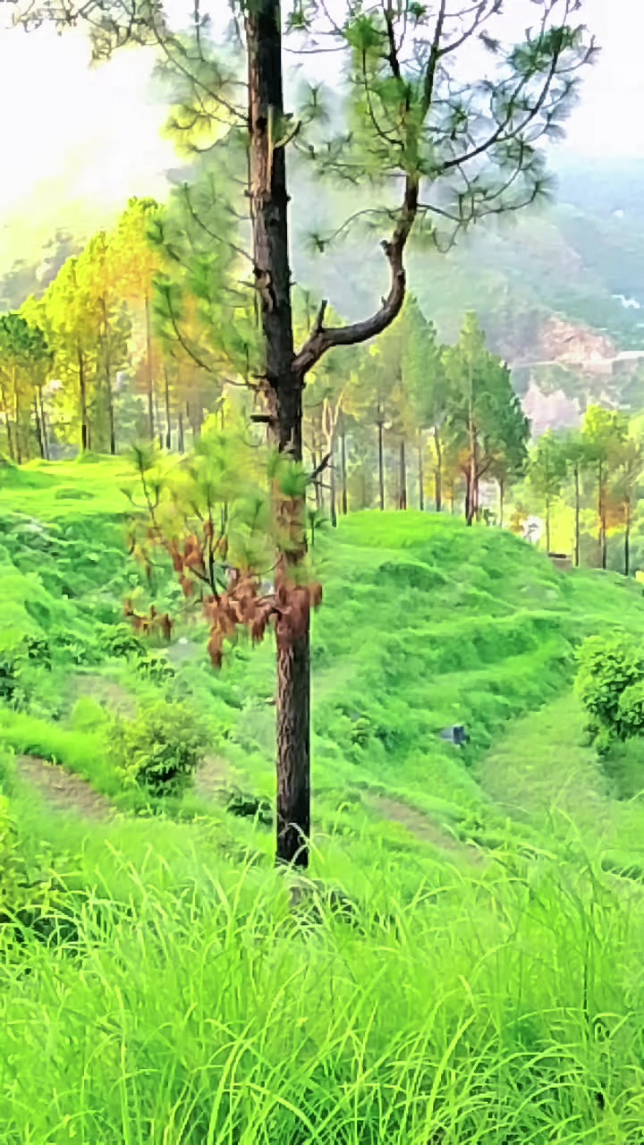 @AJ khan