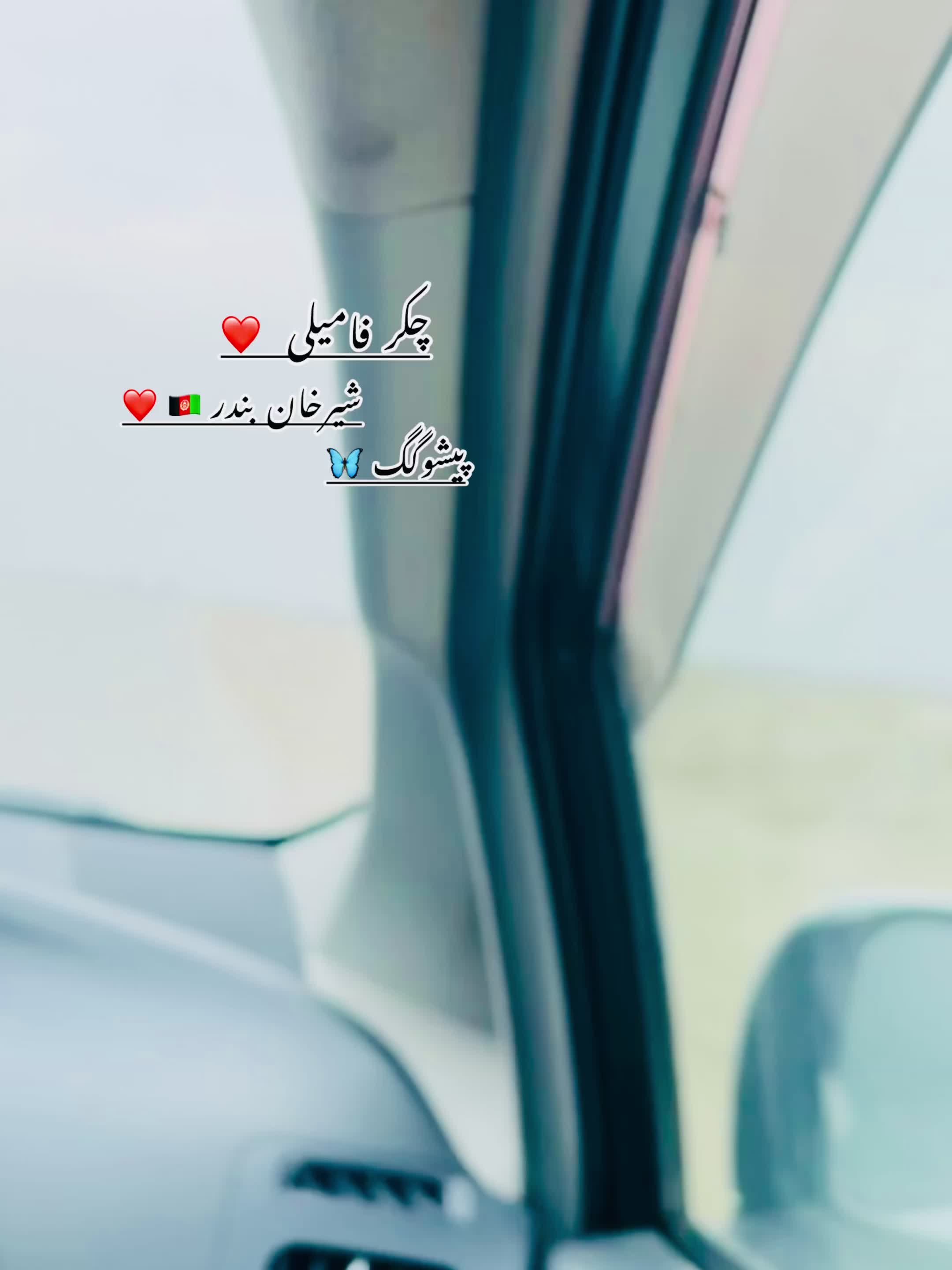 @🎀پیشو🌝گگ🎀