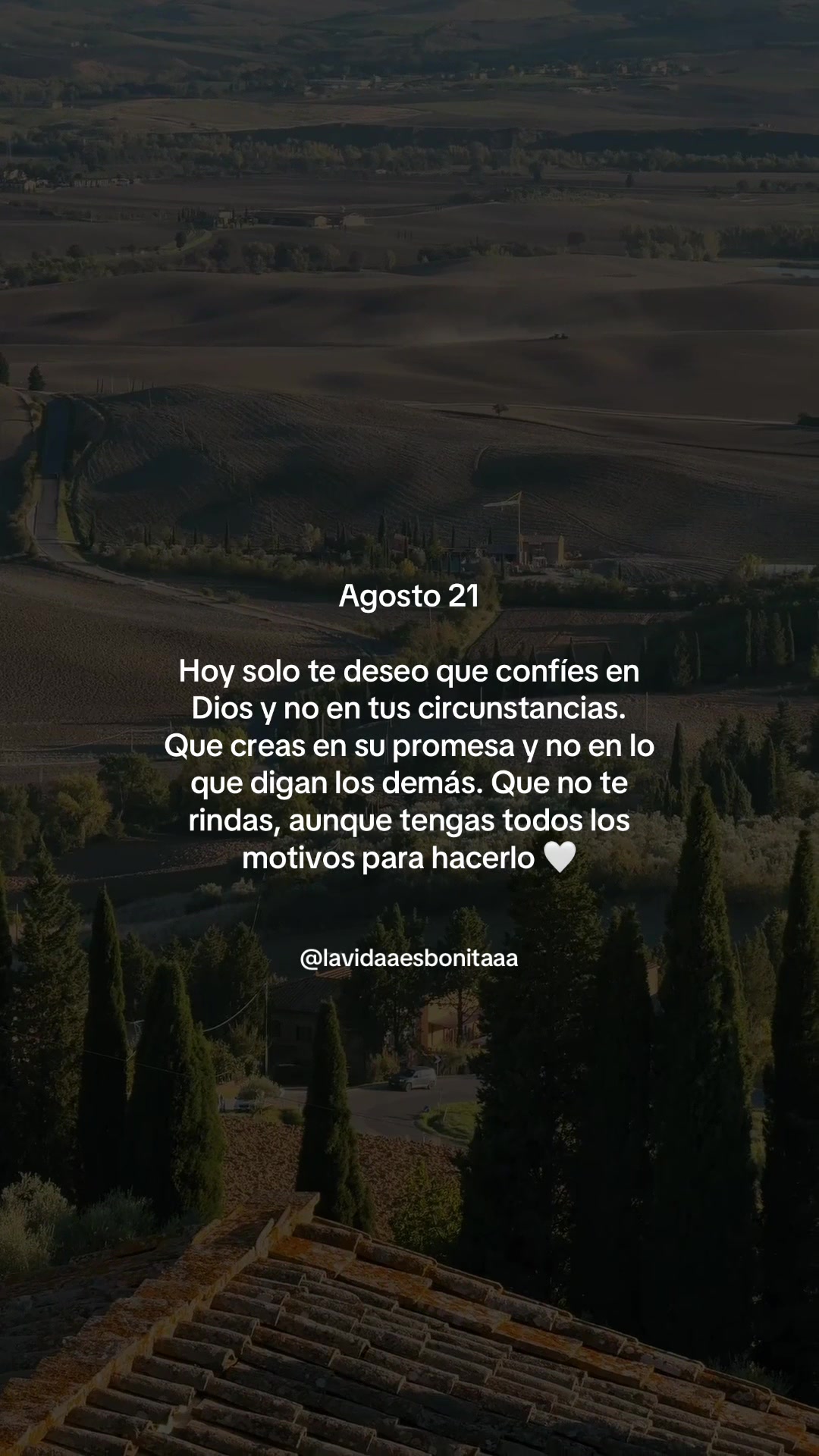 @vidabonita❤️🩹