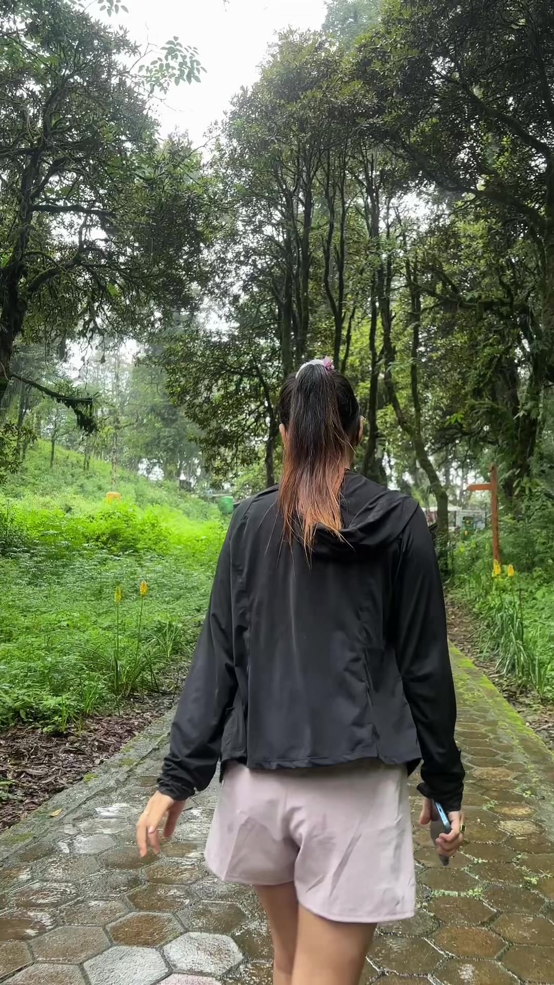 @🕊️