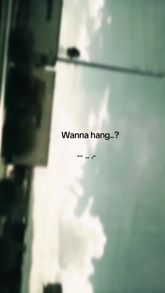 @♪noone