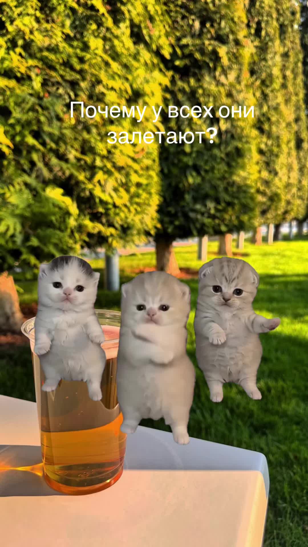 @Нютик