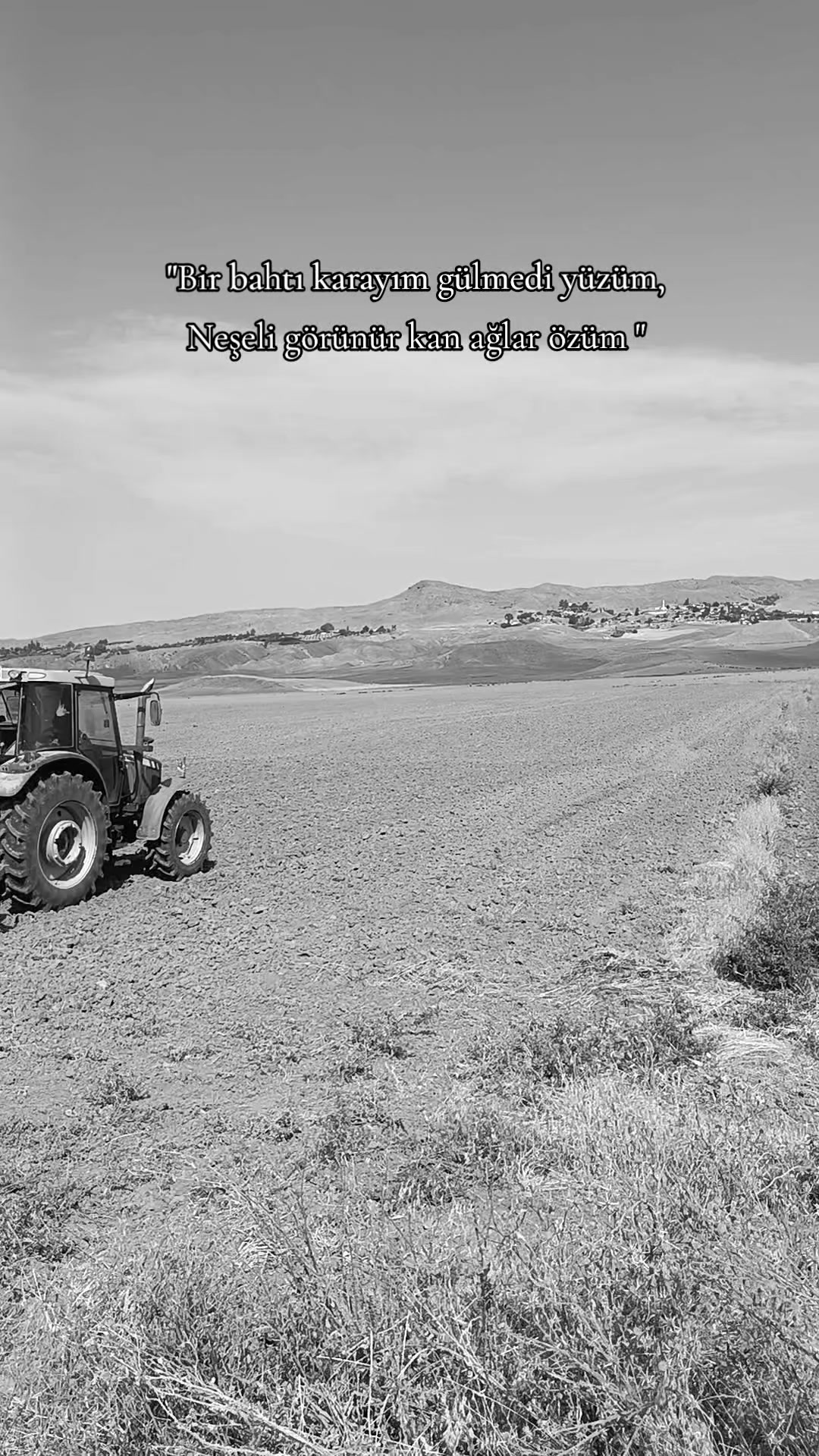 @Ahmet Salmanlı_66