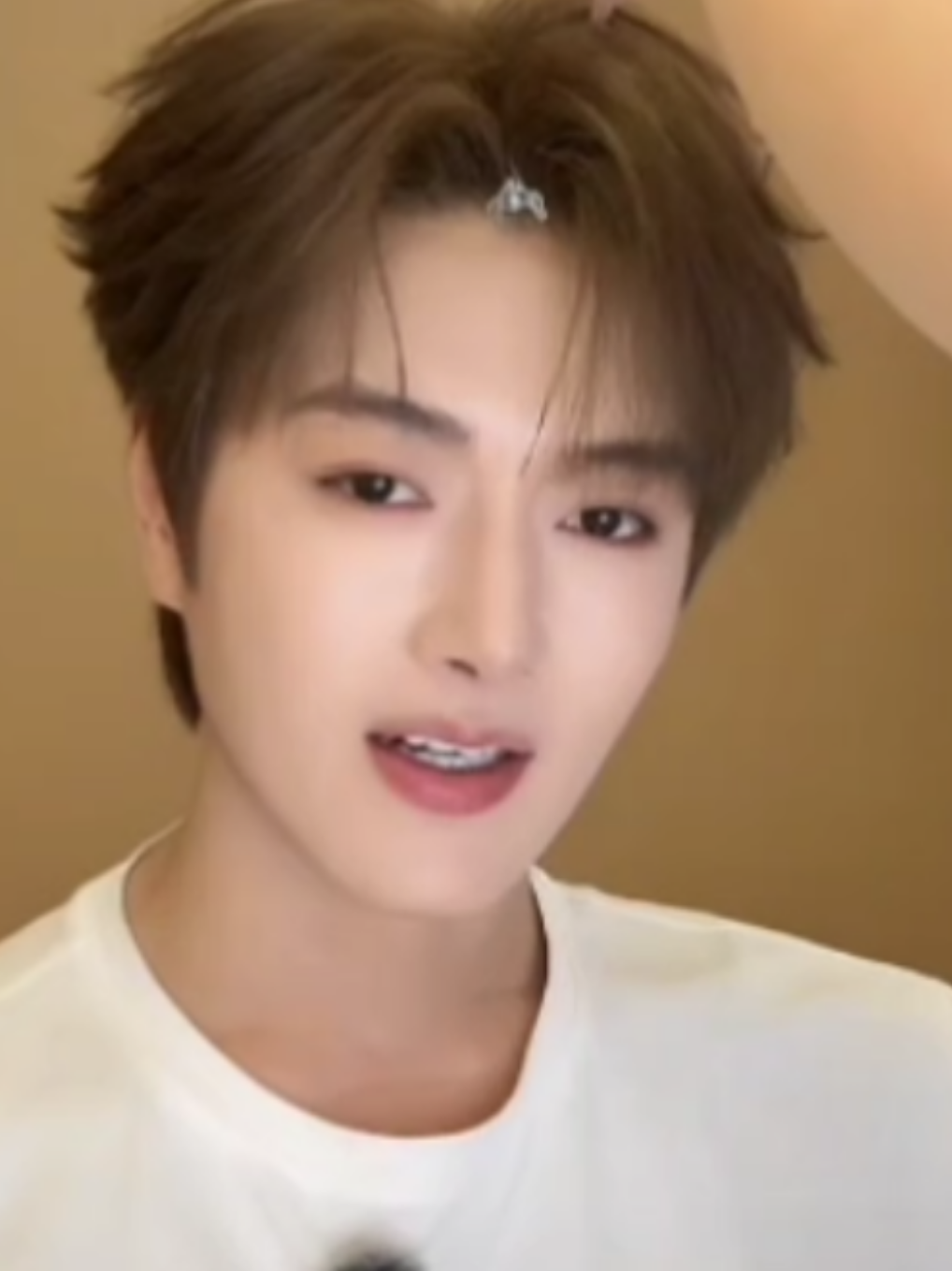 @爱鱼❤️🐳