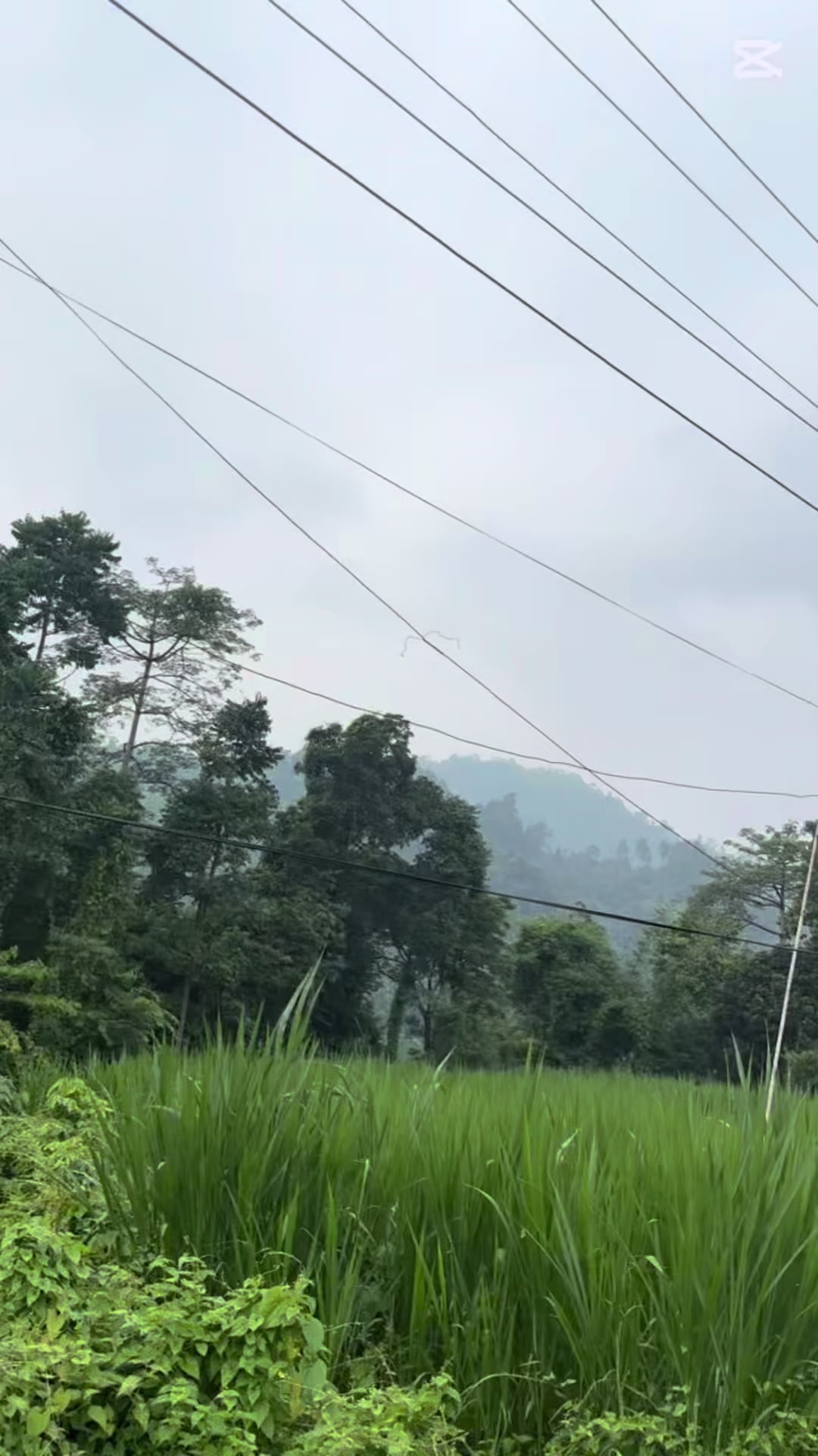 @समिक्षा फुयाँल ♡