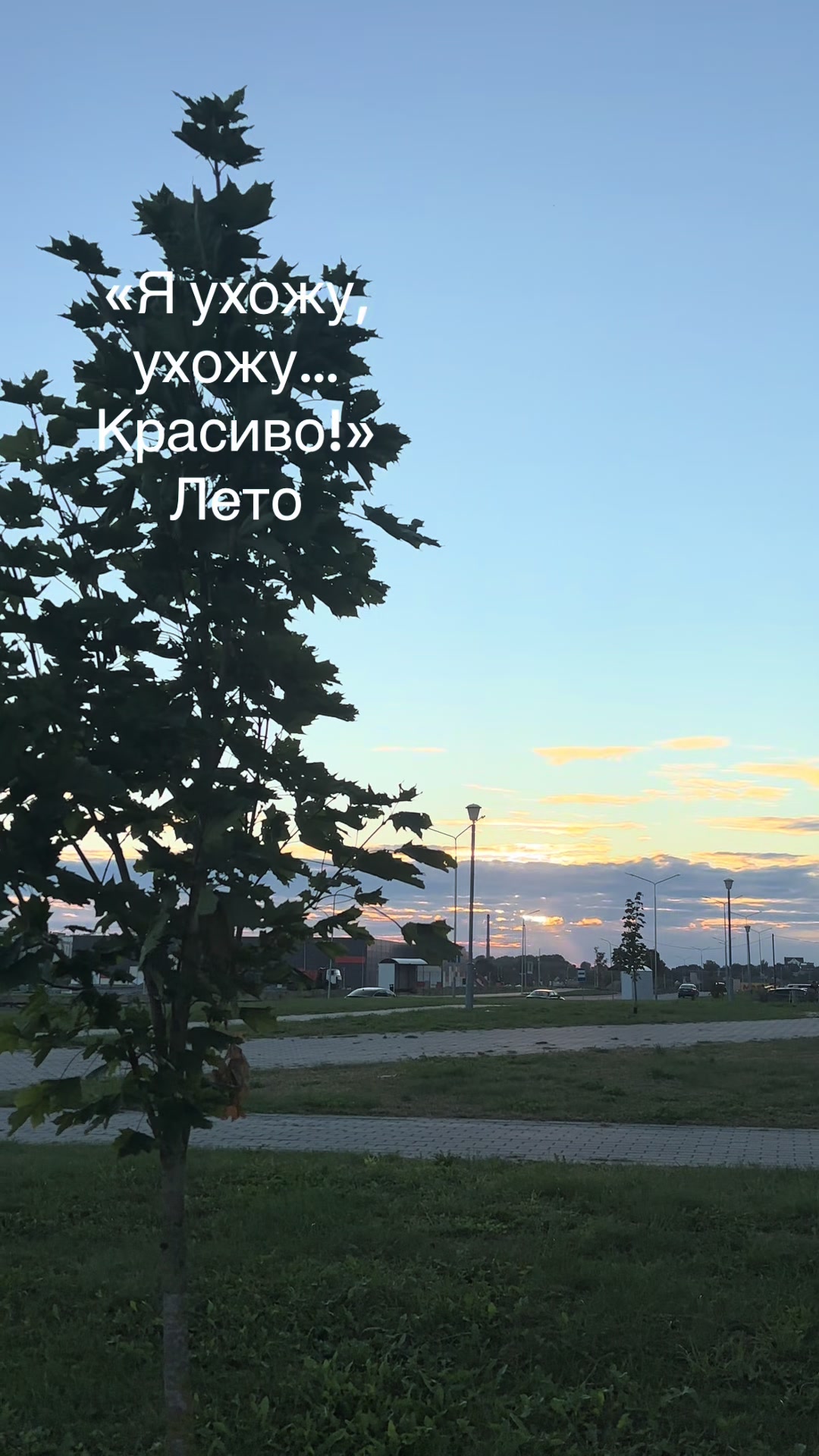 @Елена