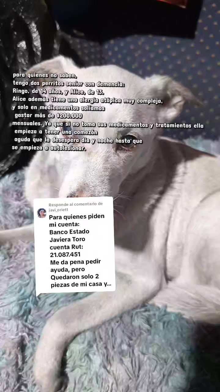 @Javi 🫧