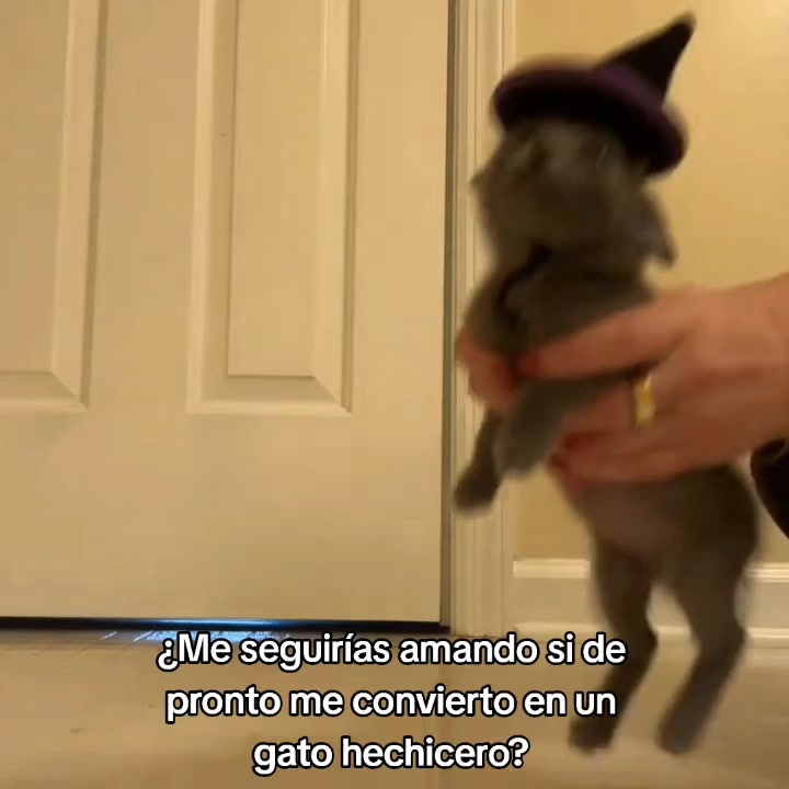 @goodvibessxd