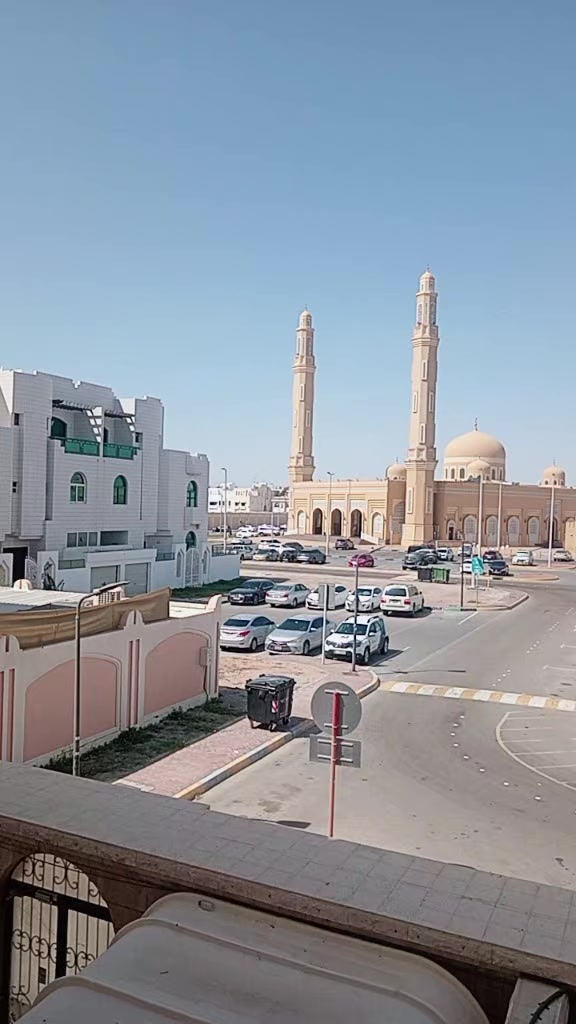 @آشلي ساريول