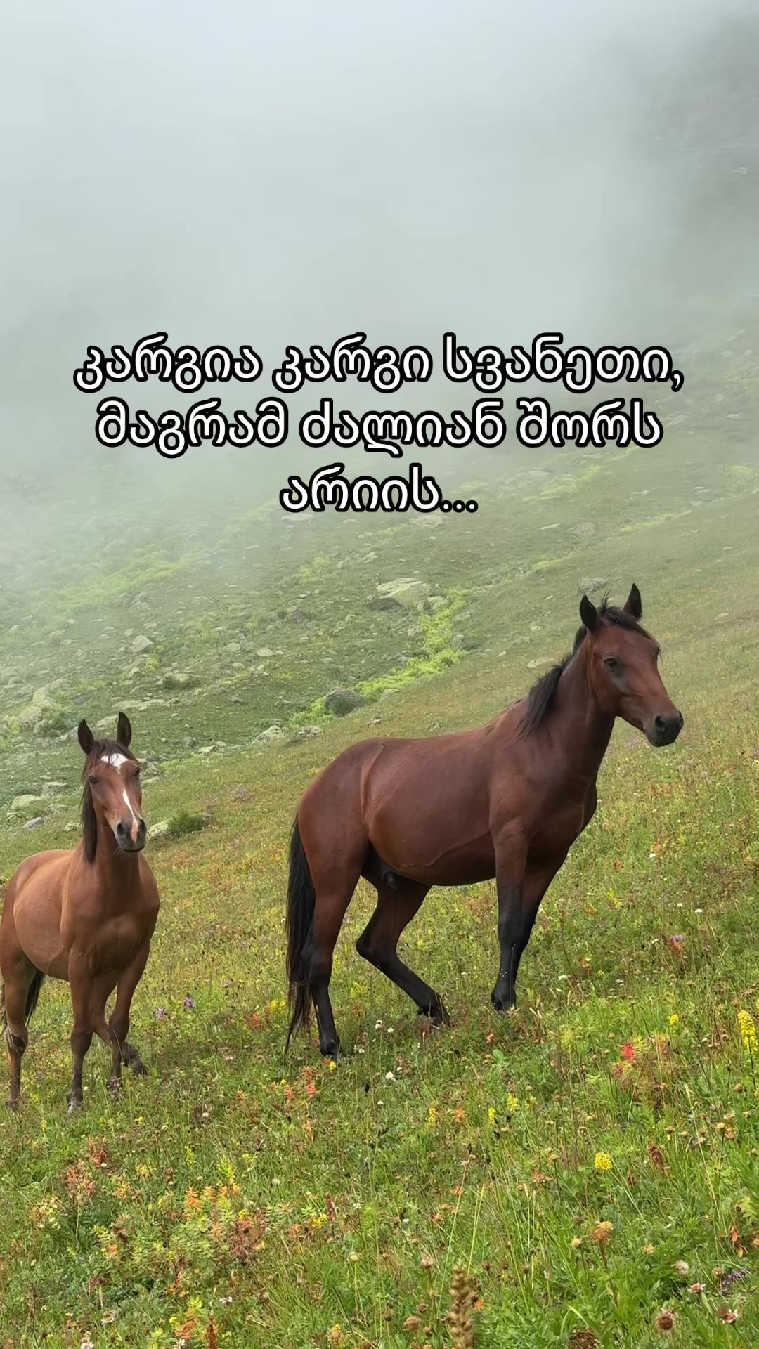 @SvanetiMountainsOfficial