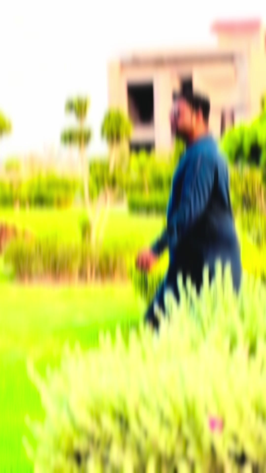 @ASIM MALIK