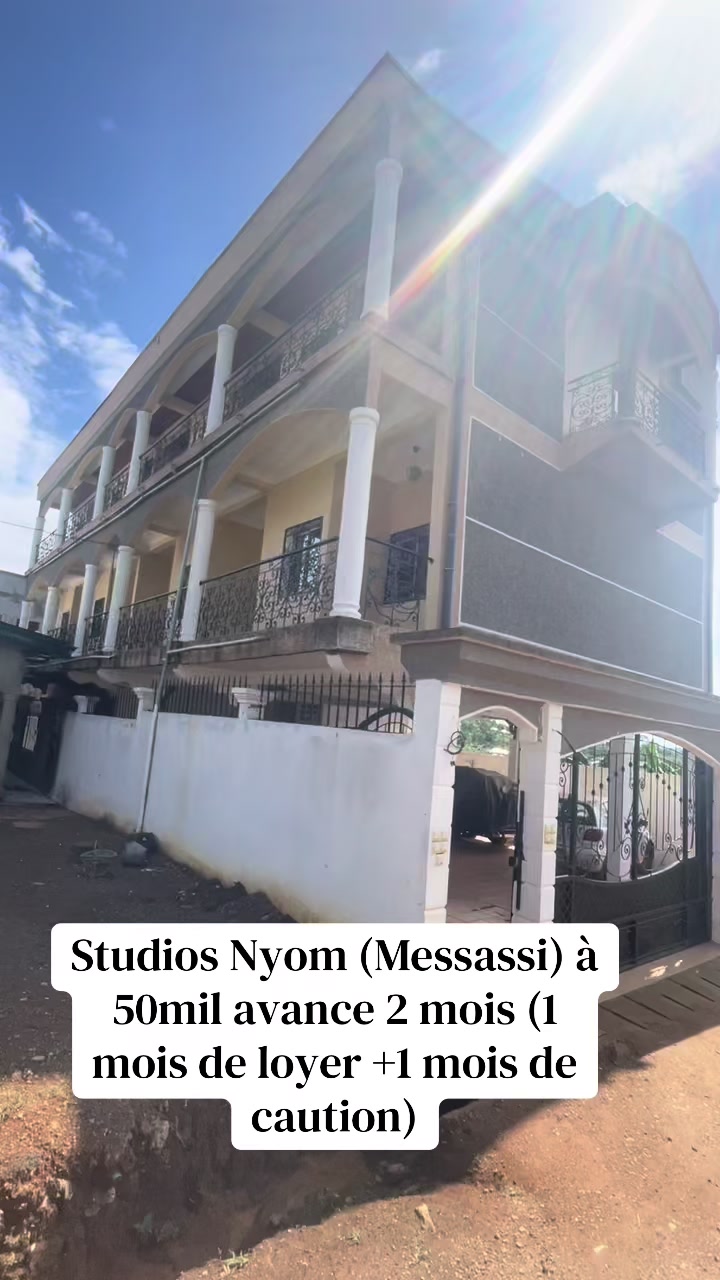 @DINO~IMMO~237🇨🇲🇨🇲