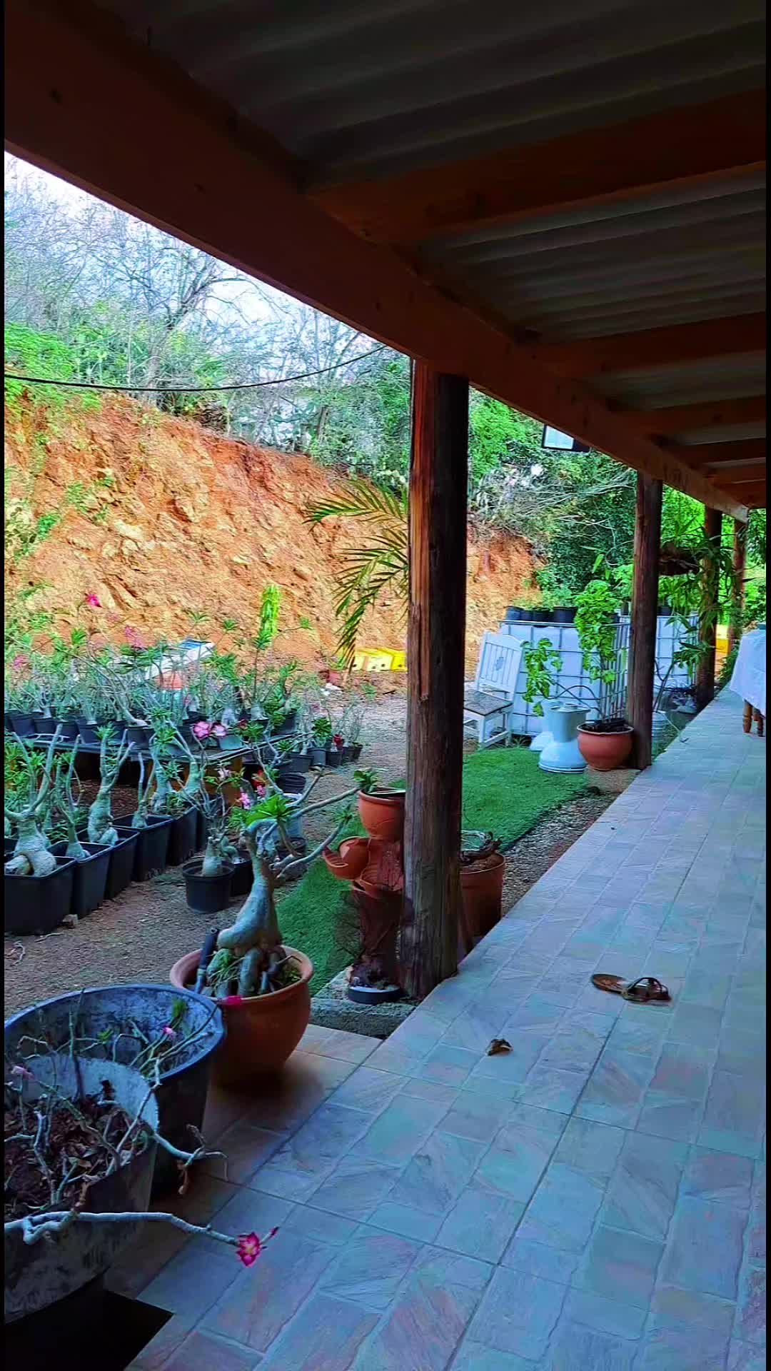 @Solimar Ordoñez
