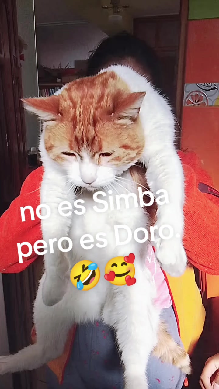 @dianaapaza057