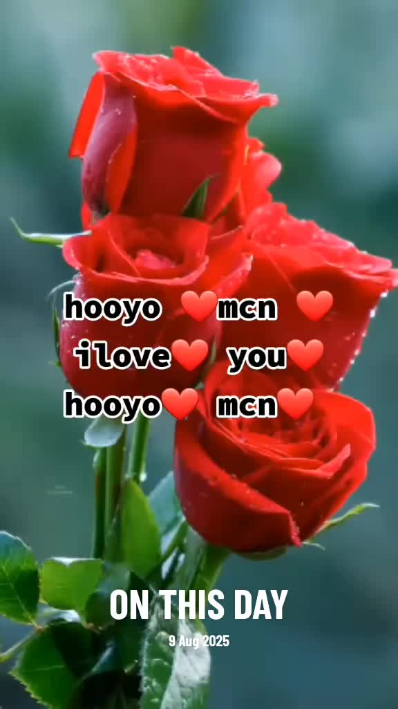 @hooyo mcn ❤️🇸🇴❤️