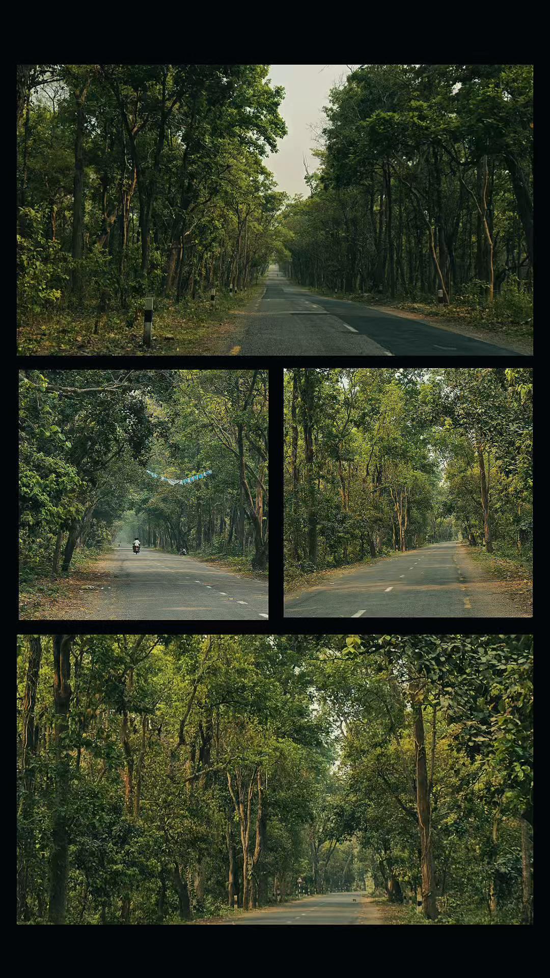 @Mr:SHỮSĤAℕT🩶