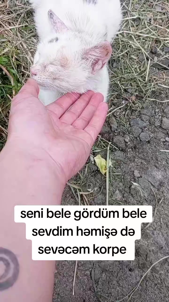 @yalniz_motorcu_25