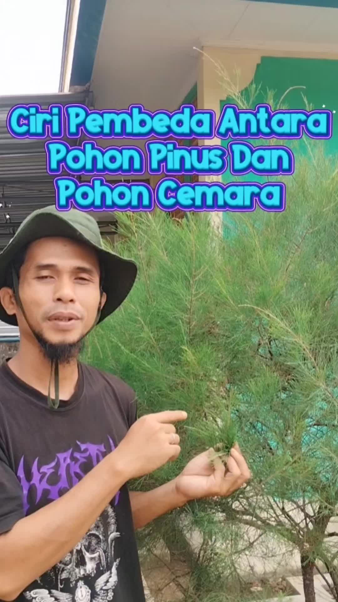 @Bukit Farming