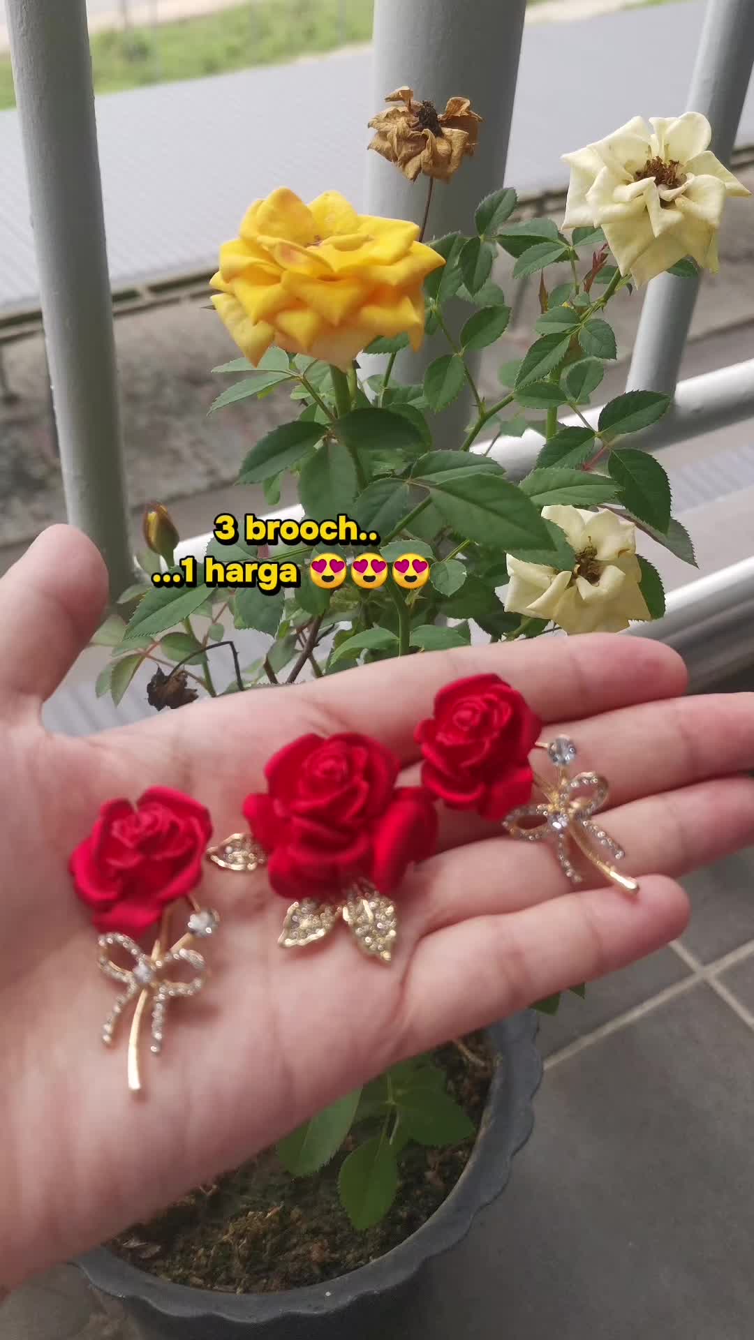 @Mumu