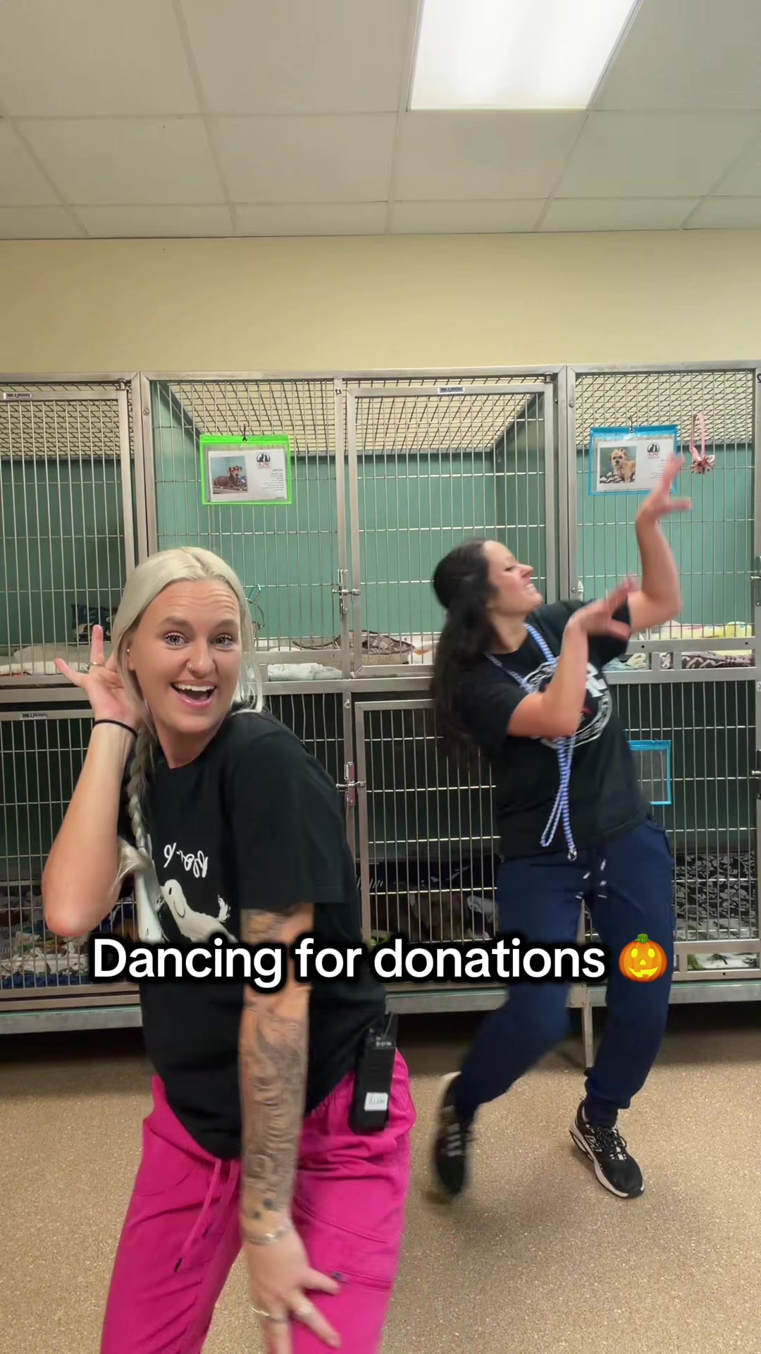 @2vettechs