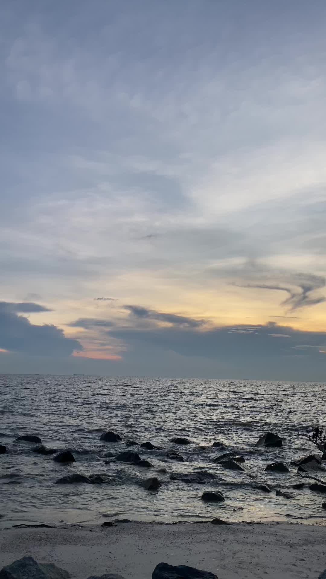 @ʷᵃⁿ 🎭