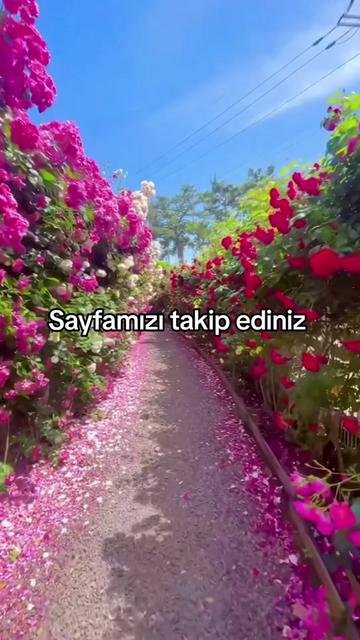 @Pusula Tesbih MURAT REİS