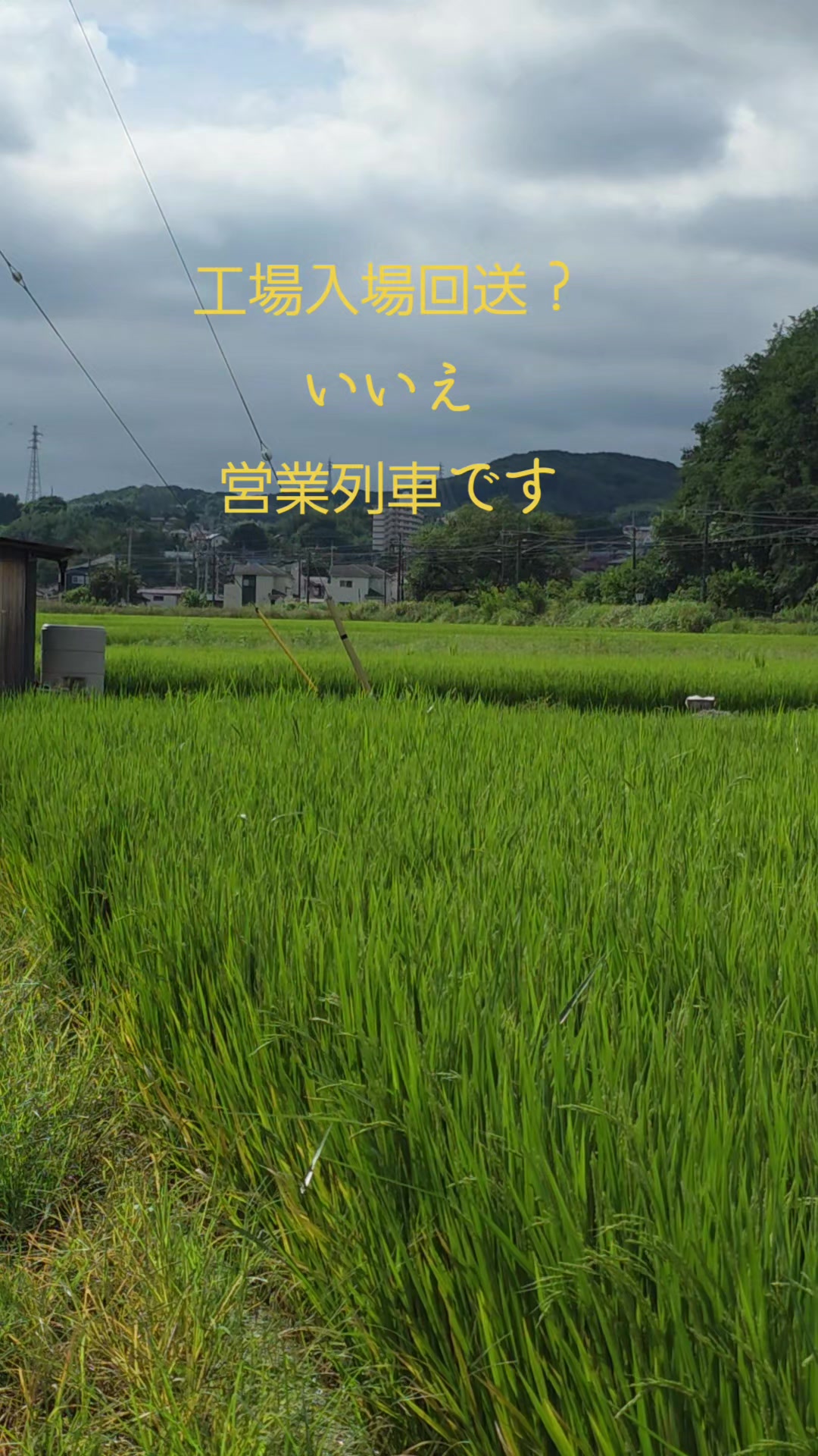 @よこもと【鉄道と音楽を愛す】