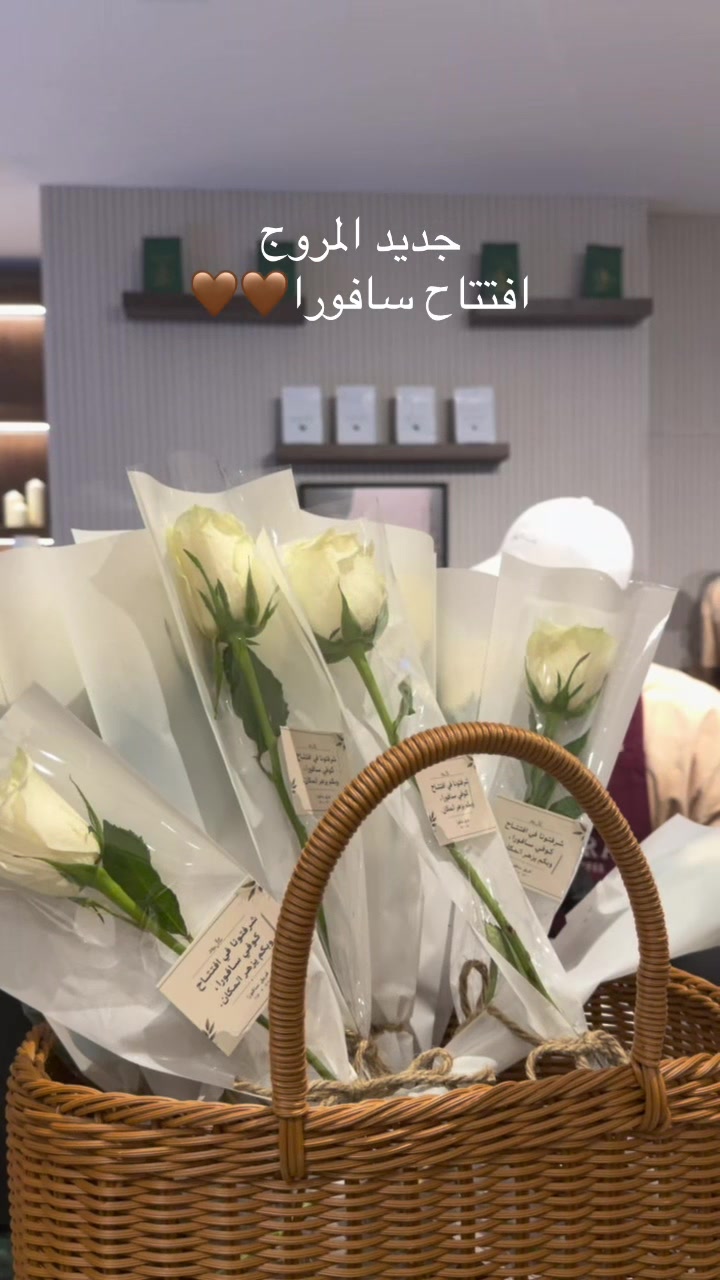 @Blogger • وعد 📸
