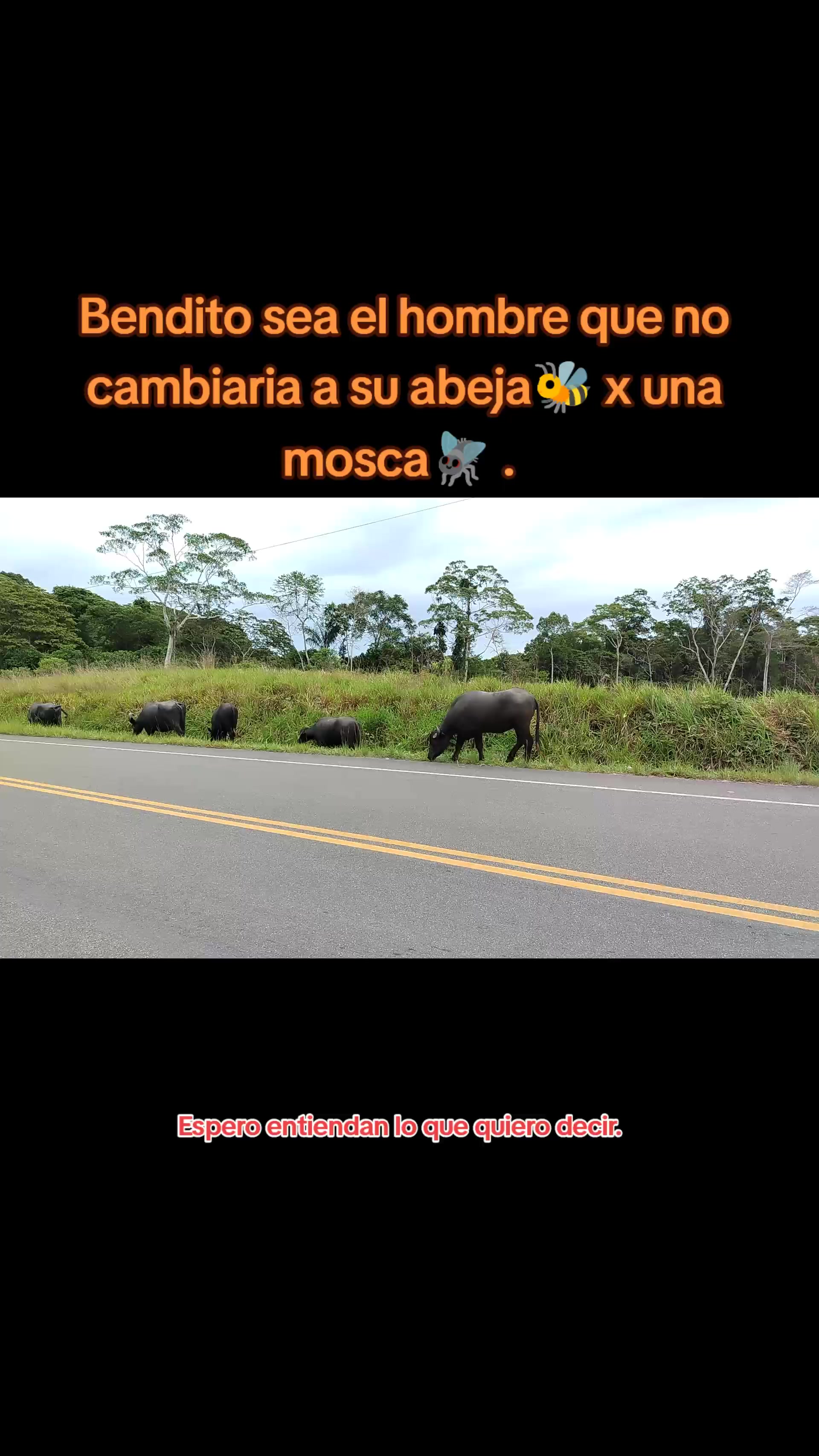 @zulueta