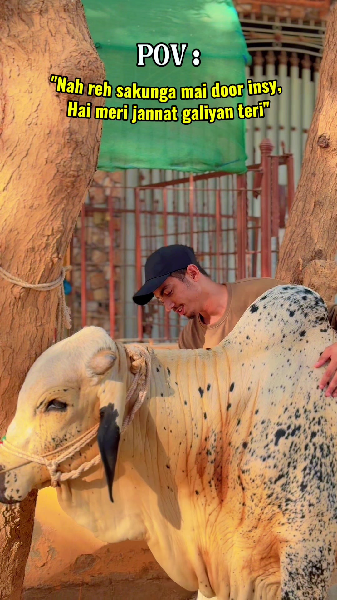 @Dr.Yasir البلوشی 🩺