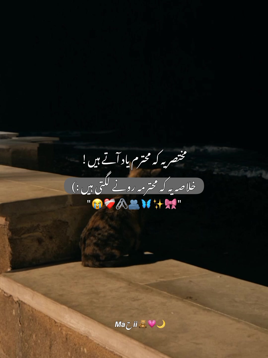 @★𝙈𝙖ح𝙞𝙞ᥫ᭡🧸💗🌙